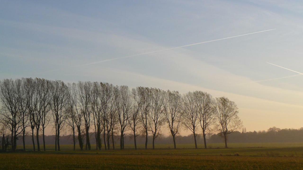 Villa Les Houx De Mathieu Engis Esterno foto