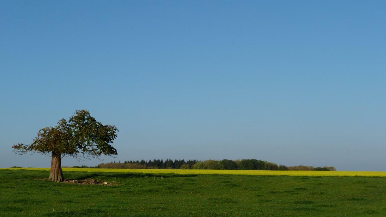 Villa Les Houx De Mathieu Engis Esterno foto